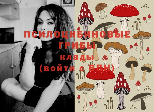 кокс Гусев