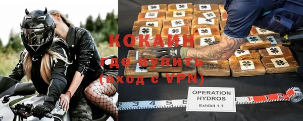кокс Гусев