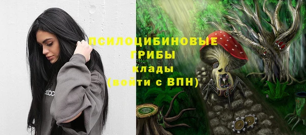 стафф Гусь-Хрустальный